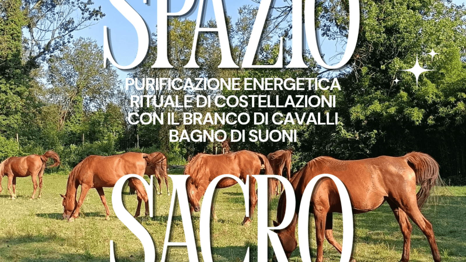 Spazio Sacro: Purificazione energetica, costellazione con cavalli e bagno di suoni