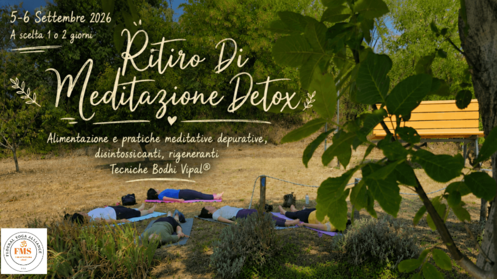 Ritiro Detox: Meditazione, Depurazione e Rigenerazione Naturale