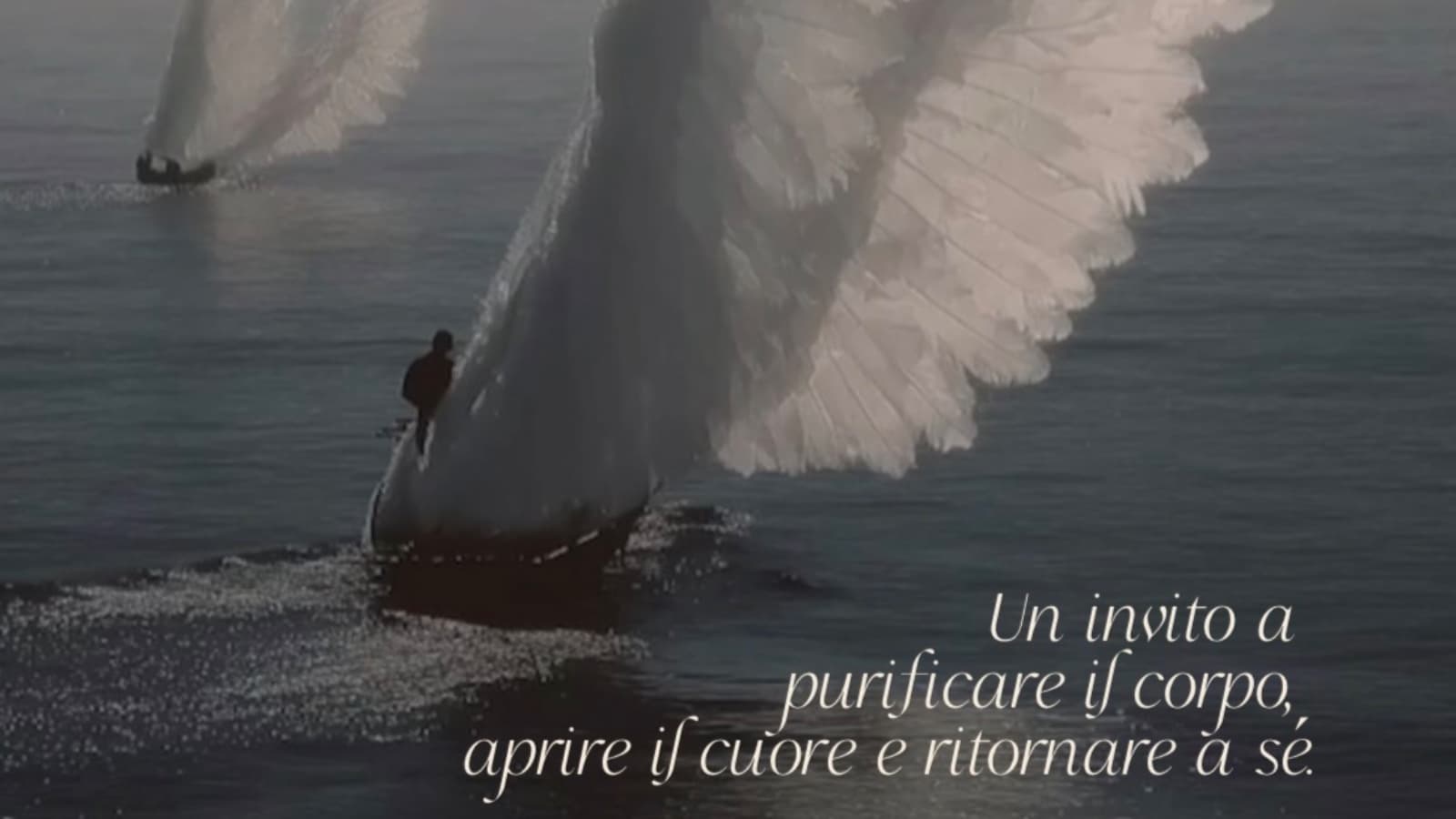 Ritiro spirituale con Kambo e piante maestre