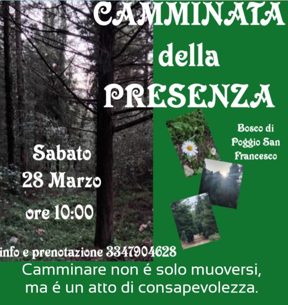 Camminata della presenza ( nel bosco)