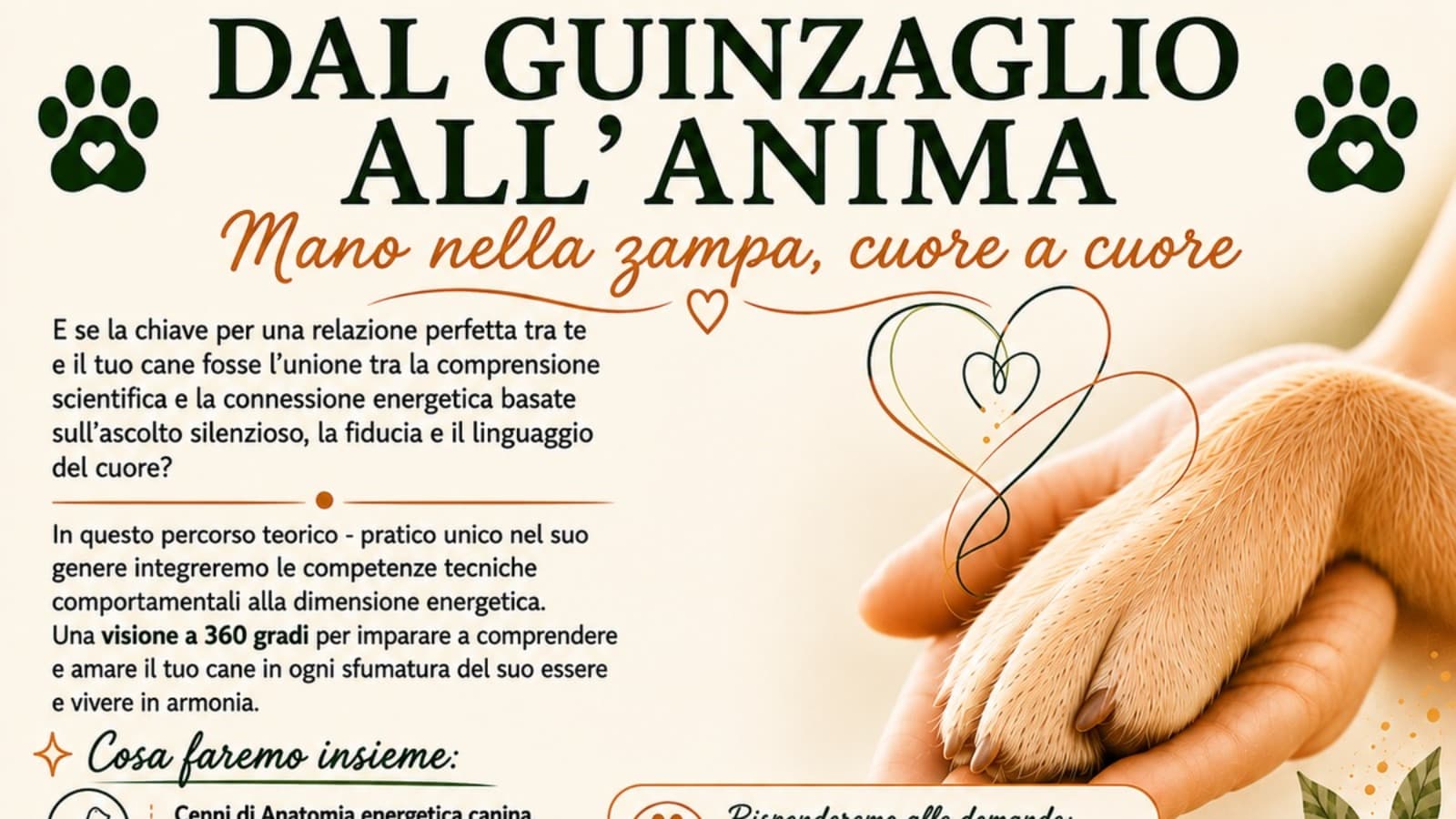 🐾 DAL GUINZAGLIO ALL'ANIMA 🐾 Mano nella zampa, cuore a cuore