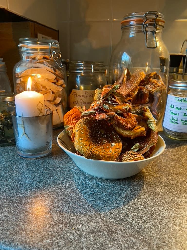 Amanita Muscaria Dreaming ceremony