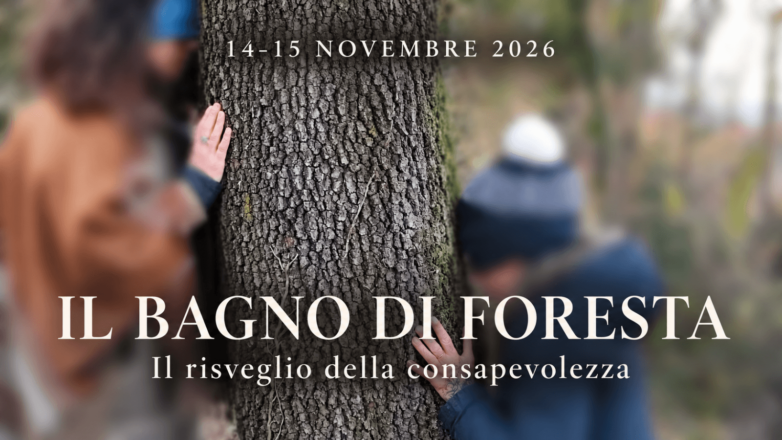 Il bagno di foresta – Il risveglio della consapevolezza