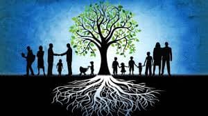 Constelaciones Familiares — Sanar el Campo que te Precede