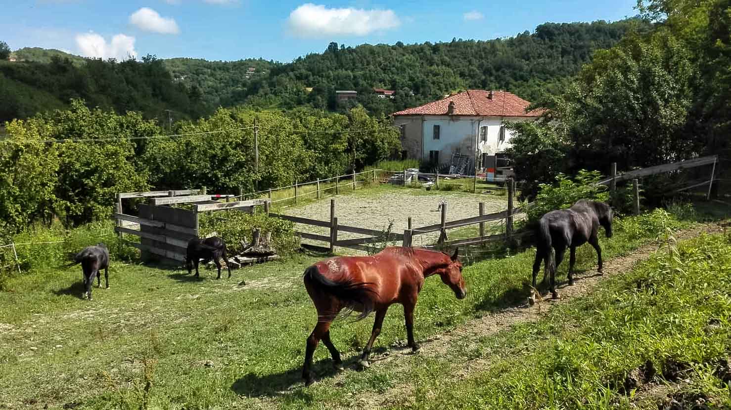 Ca Dij Cavaij