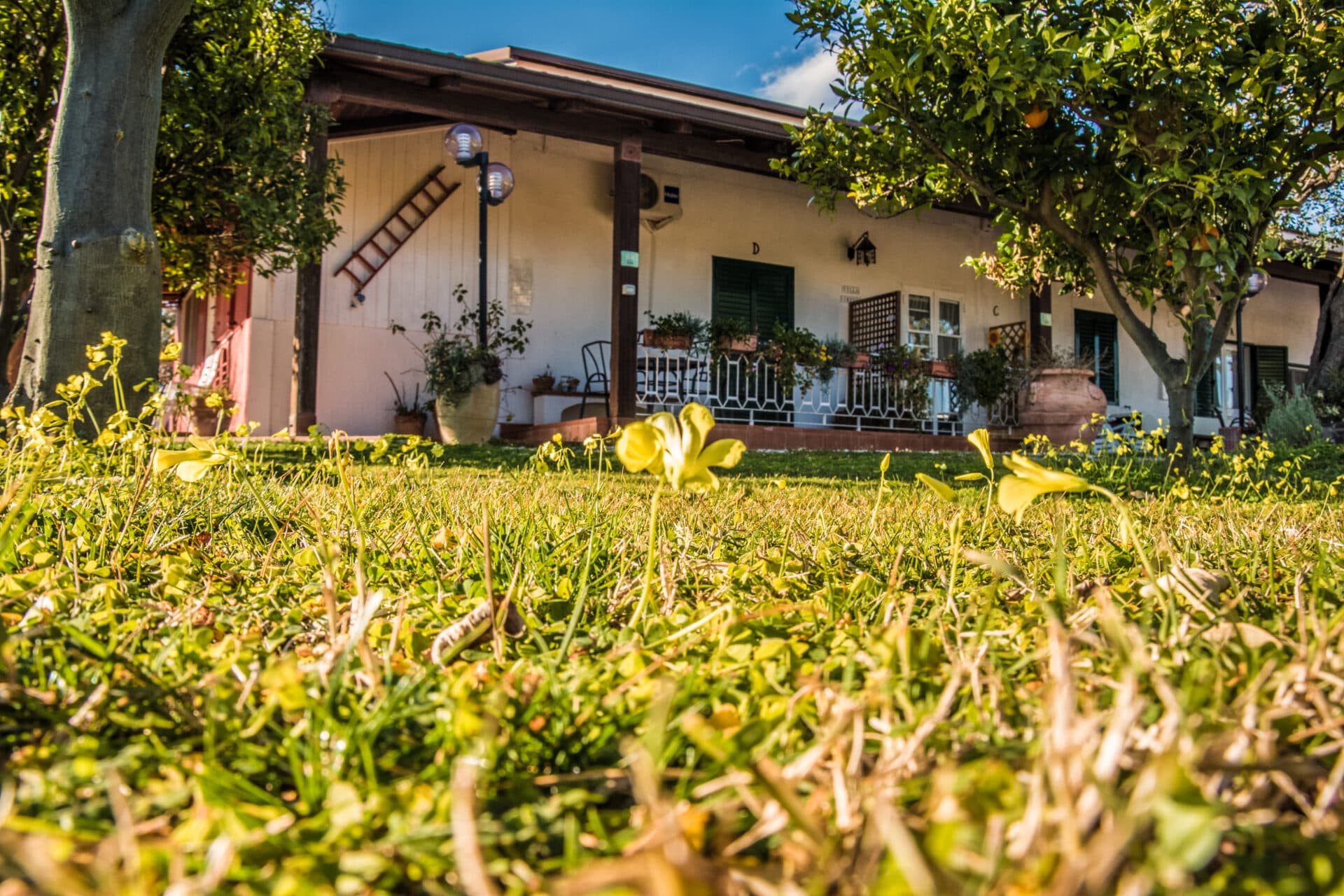 Villa Irene