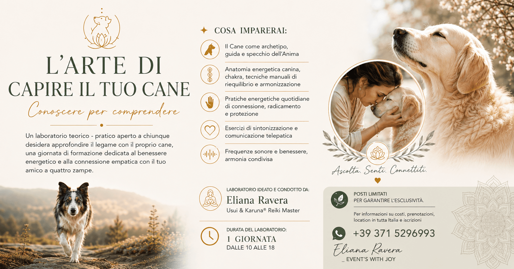 š¾ LāARTE DI CAPIRE IL TUO CANE - Conoscere per comprendere š¾
